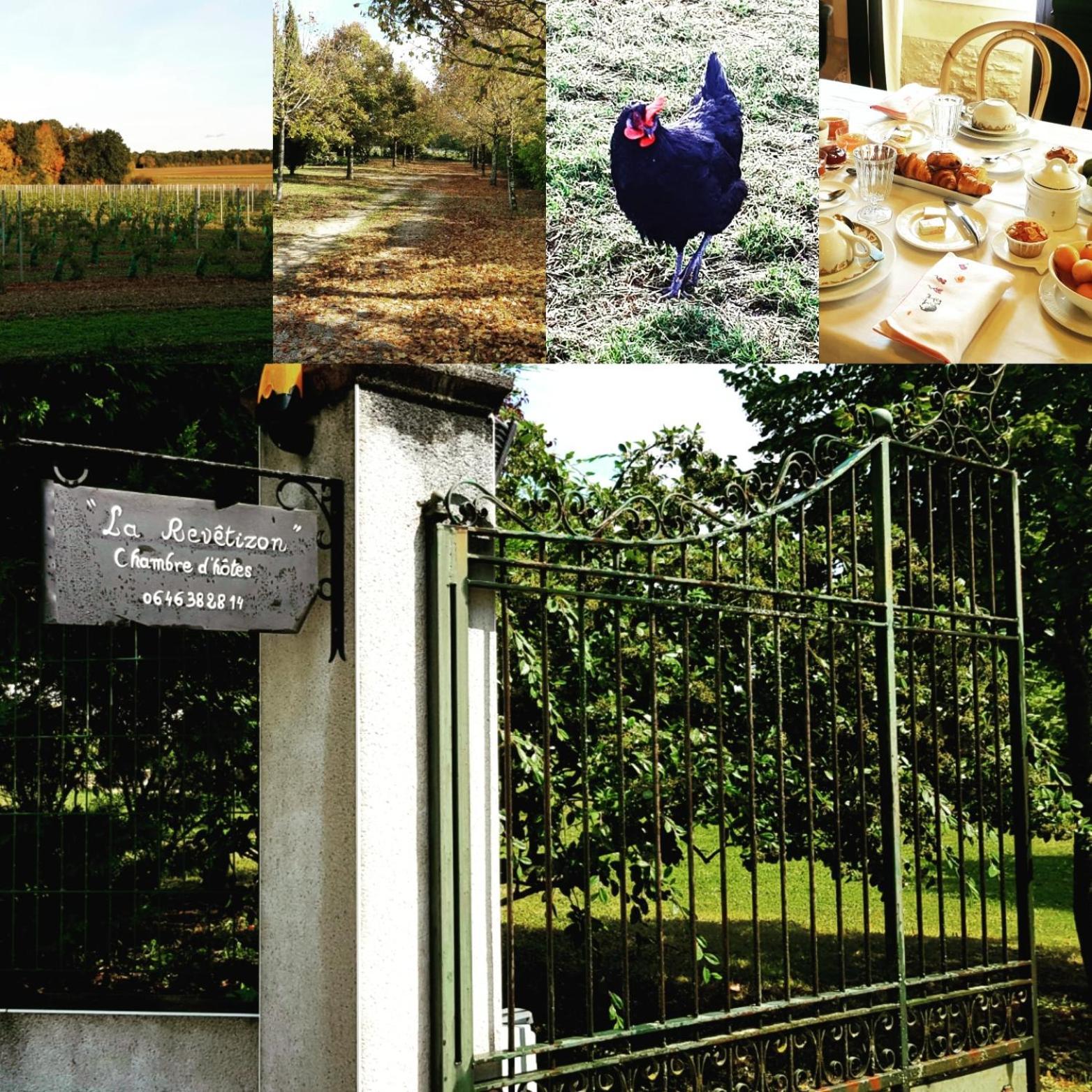 La Revetizon Bed & Breakfast Siecq Exterior foto